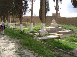 TELAGH LE CIMETIERE 19